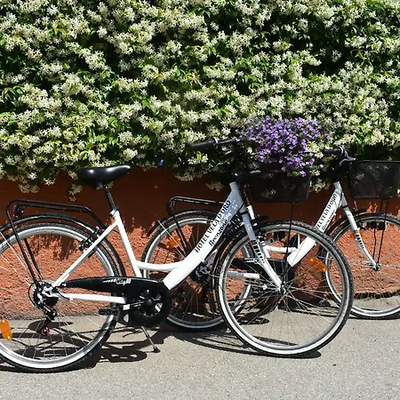 Garni Vela D'oro 酒店 布雷佐内加尔达