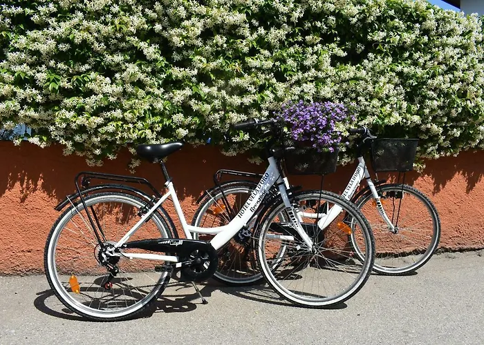 Garni Vela D'oro Hotel Brenzone sul Garda